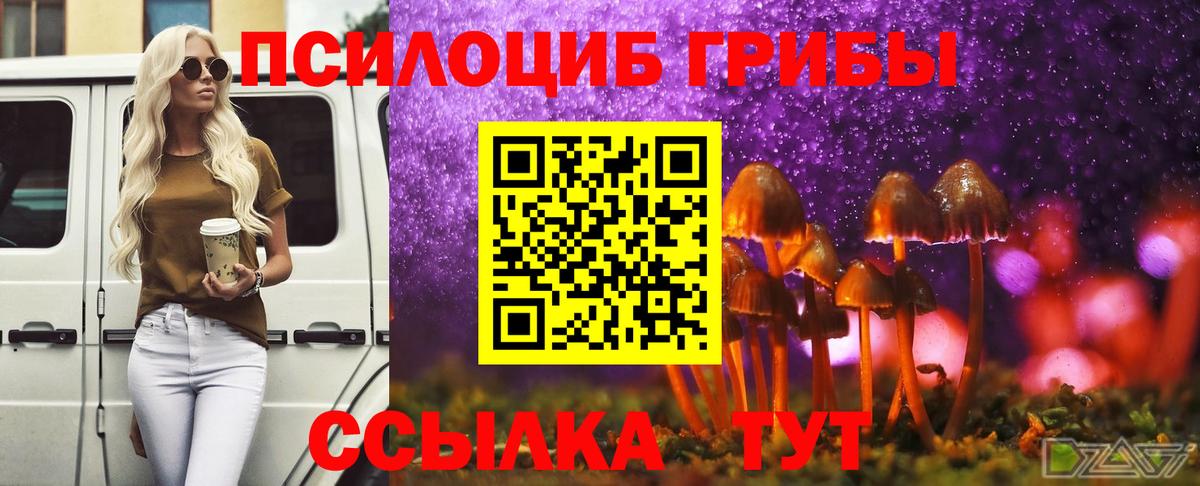 Галлюциногенные грибы Magic Shrooms Черногорск