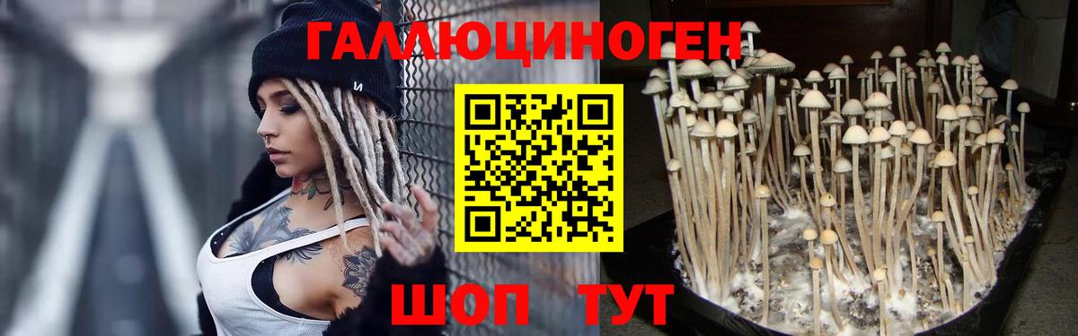 Черногорск  Псилоцибиновые грибы ЛСД  Вход с VPN 